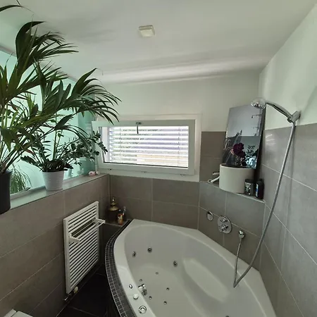 Zuerichsee, Atemberaubender Aussicht *