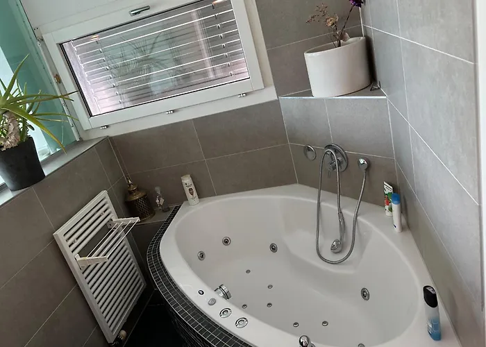 Privat bolig Zuerichsee, Atemberaubender Aussicht *